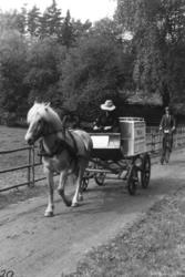 Sykkelkavalkade, sept. 1983.