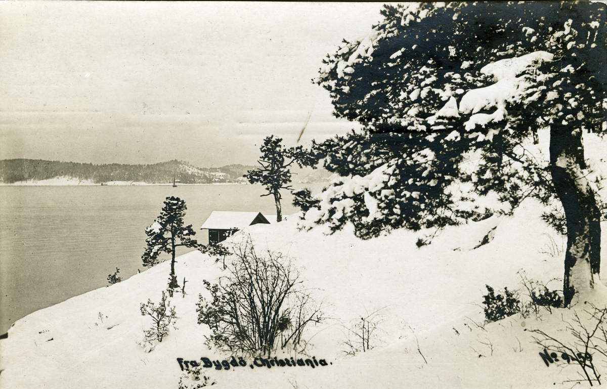 Postkort, motiv fra Bygdøy. Badehus.
Stemplet 10.02.1908