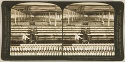 Stereoskopi. Mann på arbeid i bomuldsspinneri, USA.