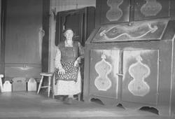 Skap, Rise skysstasjon, Drivdalen, Oppdal, Sør-Trøndelag. Kv