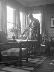 Dordi Arentz vanner blomstene i stuen i P.T. Mallings vei. F