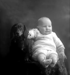 Portrett, spebarn og dachshund.
