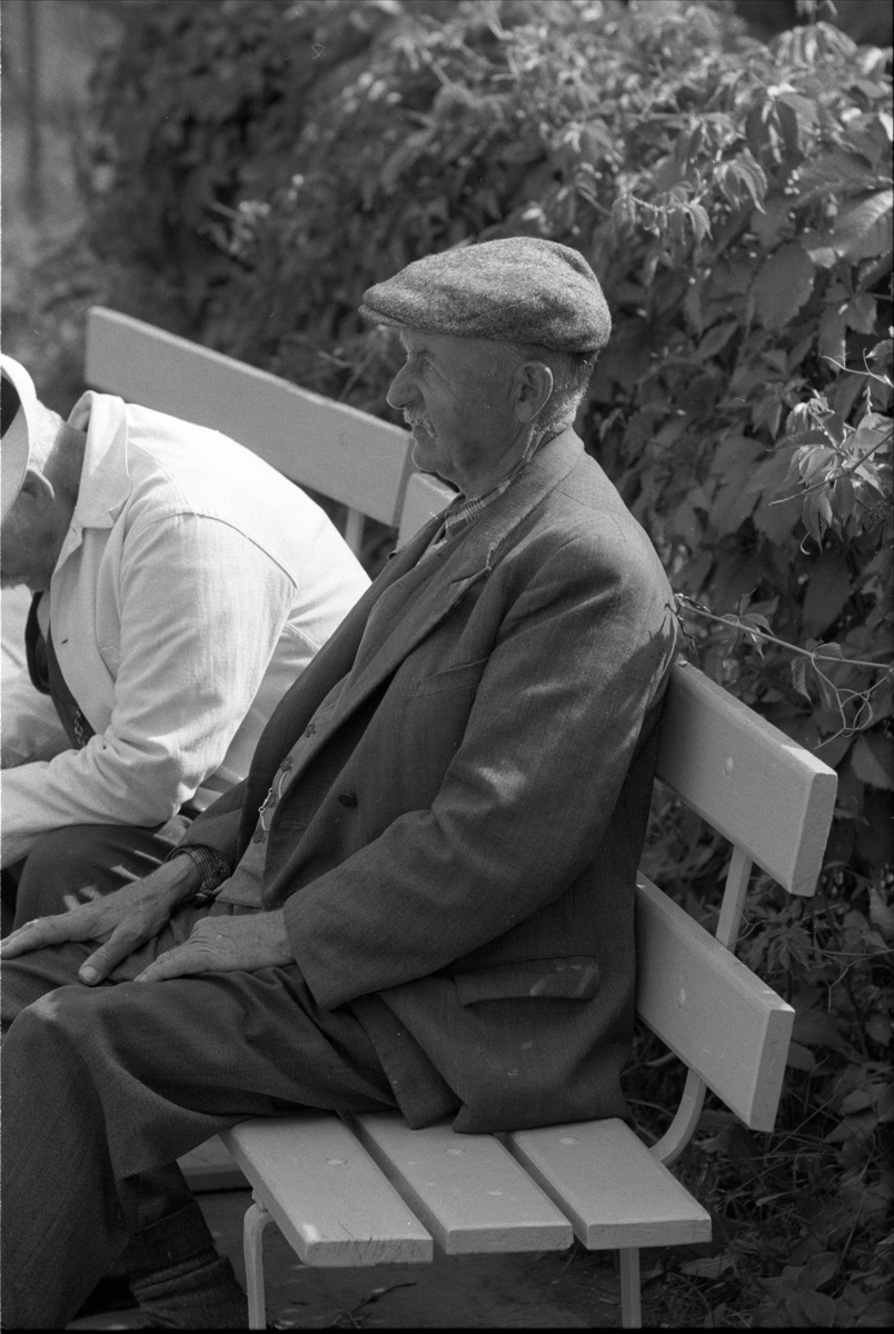 Sommermoter, Drøbak juli 1959. Gamle menn på krakk.