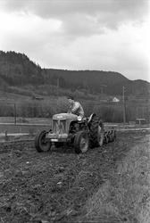 Våronn ved Hokksund, Øvre Eiker, mai 1963. Traktor på jordet