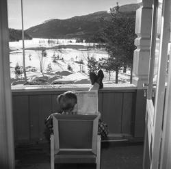 Verandaen, utsikt fra Espedalen Turistheim, Gausdal, Oppland