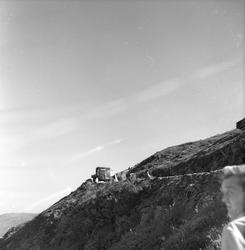 Årdal, 28.08.1955, fjellparti.