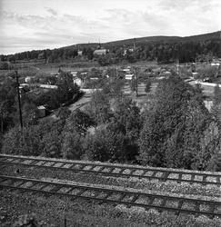 Sogn Hagekoloni, Oslo, juni 1942. Landskap, kolonihage og tr