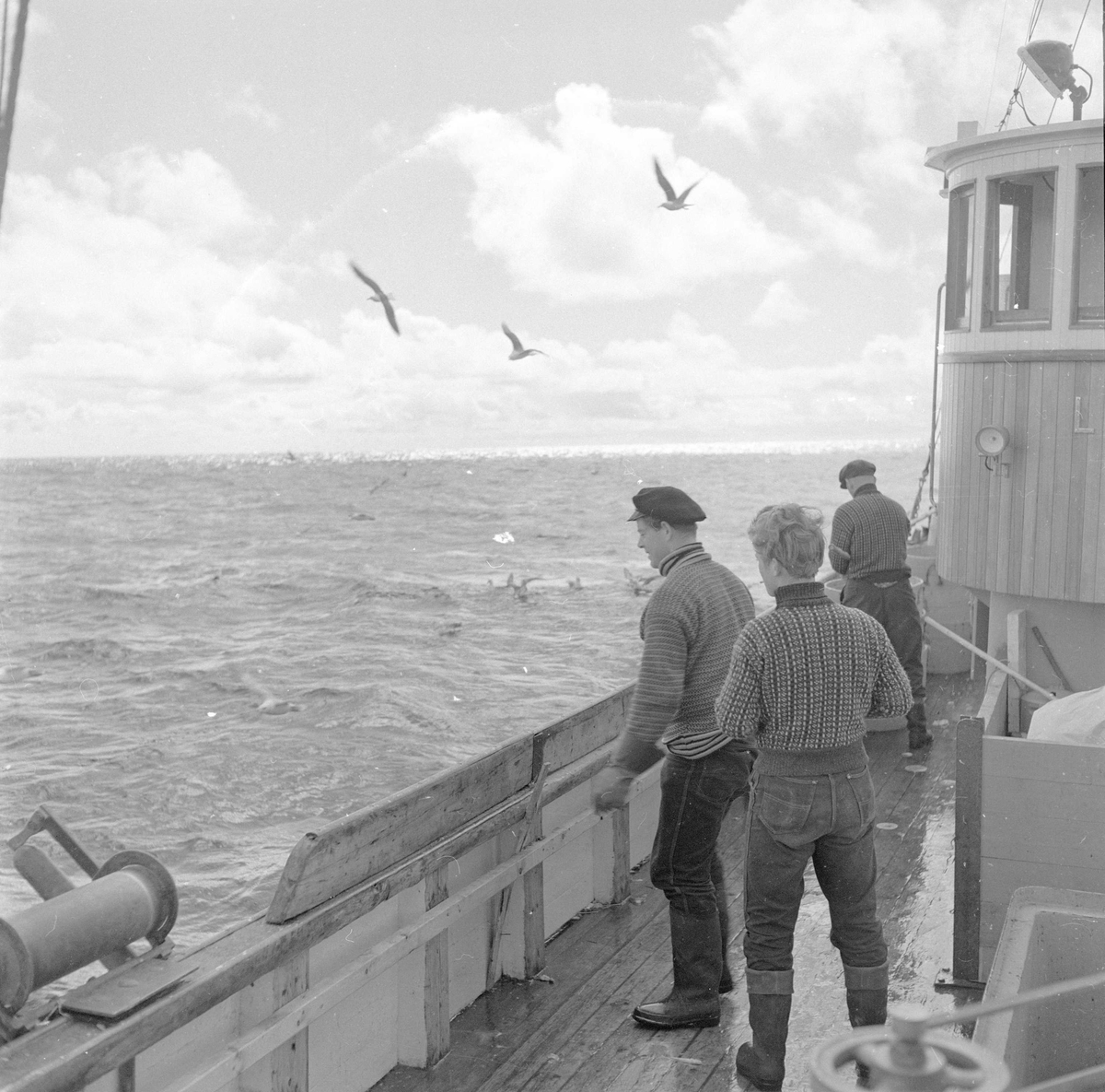 Pigghåfiske på Shetland.
Shetland, 14-22. mai 1958, hav så langt øyet rekker, karer på dekk.