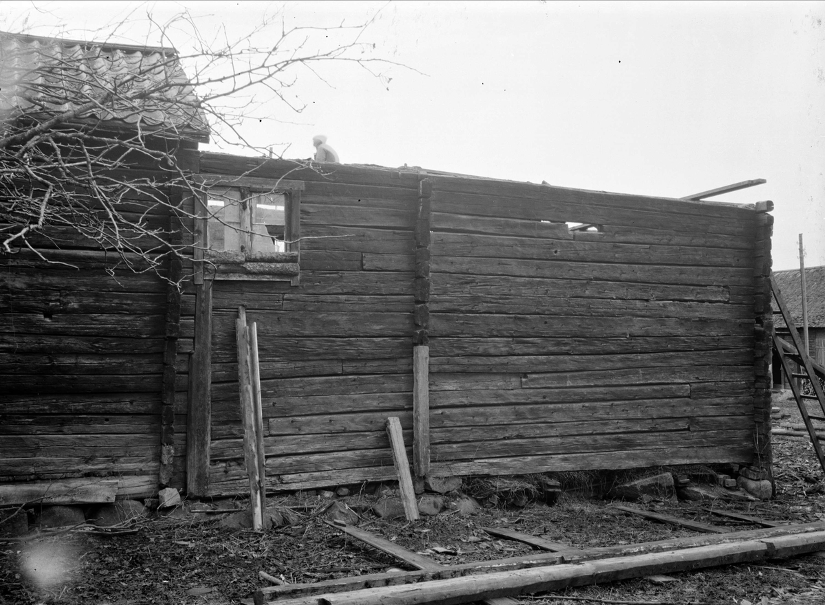 Loftbod och stall-länga - nu på friluftsmuseet Disagården - på ursprunglig plats i Gränby, Björklinge socken, Uppland