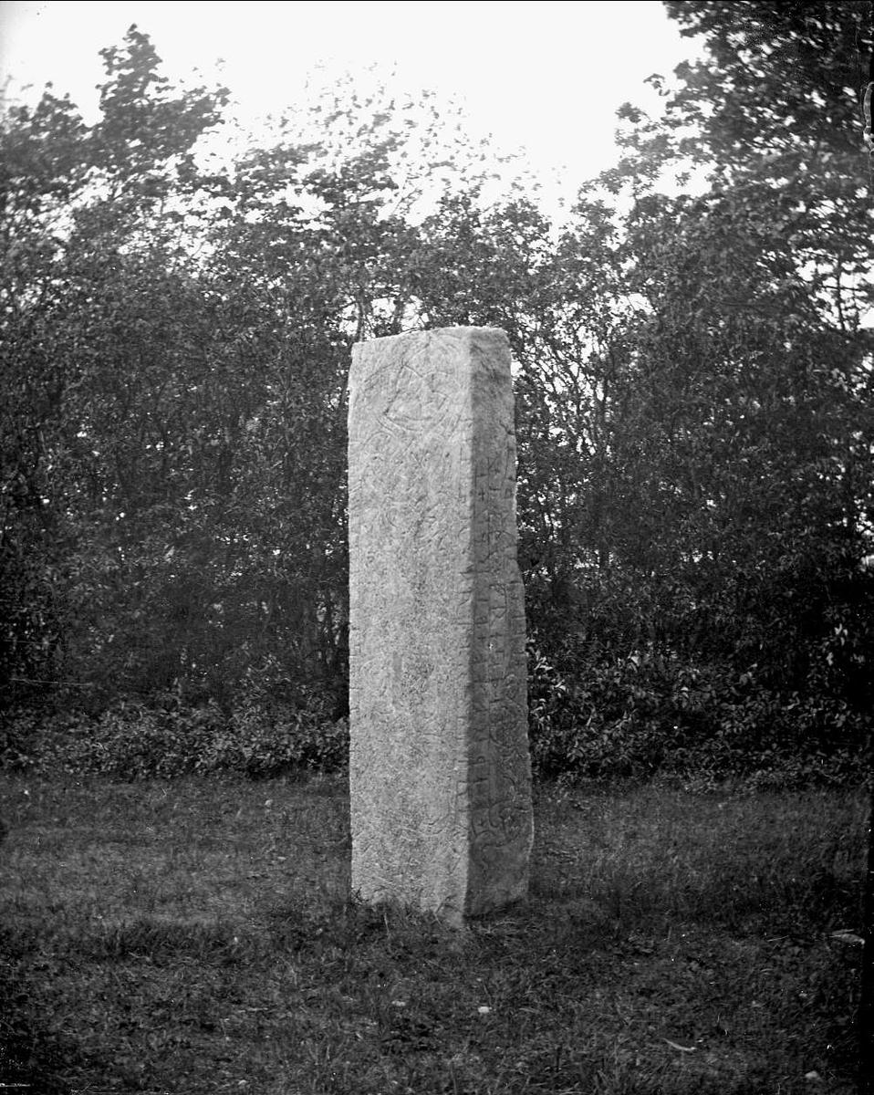 Runsten U1161, nära Altuna kyrka, Altuna socken, Uppland 1919