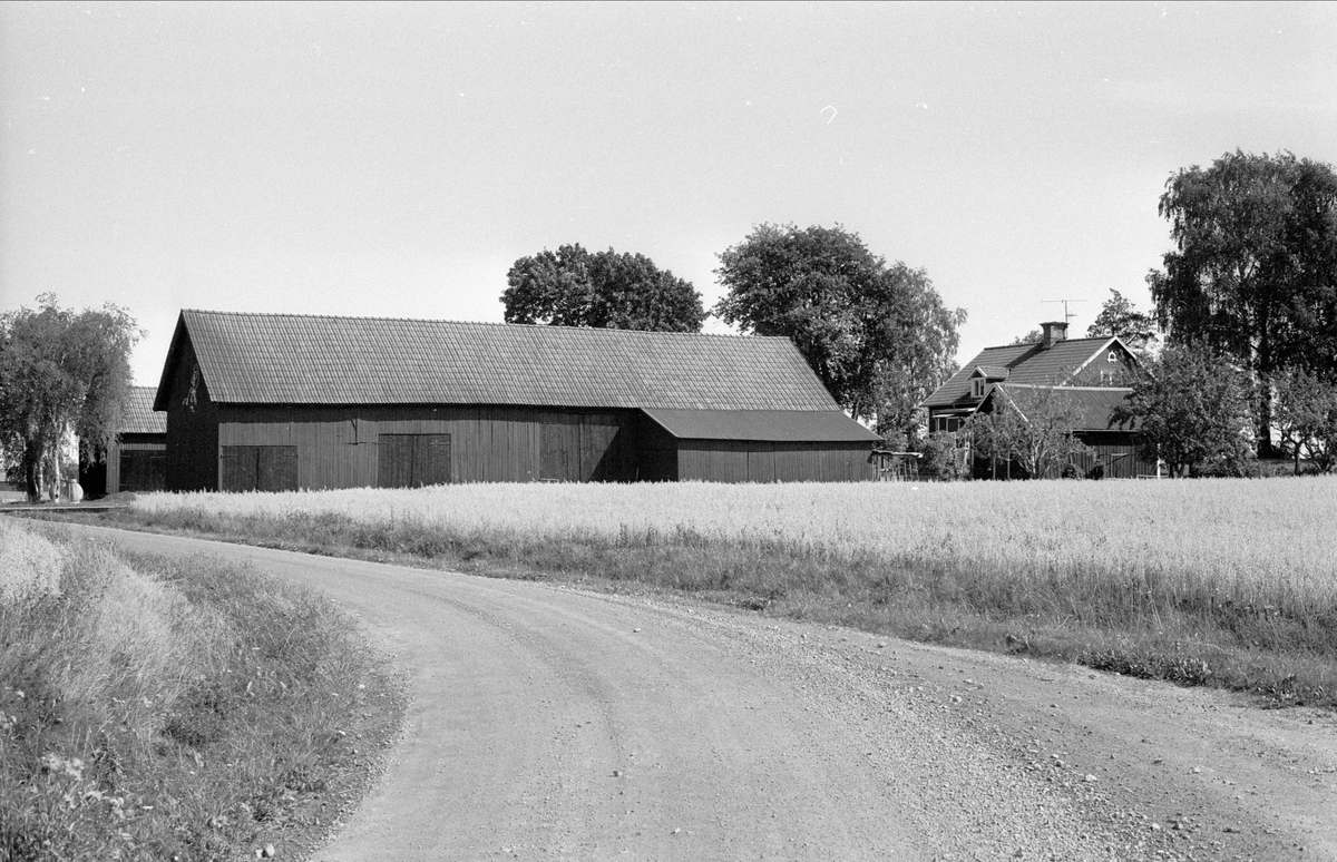 Bostadshus och ekonomibyggnader, Ängeby 9:1, Börje socken, Uppland 1983