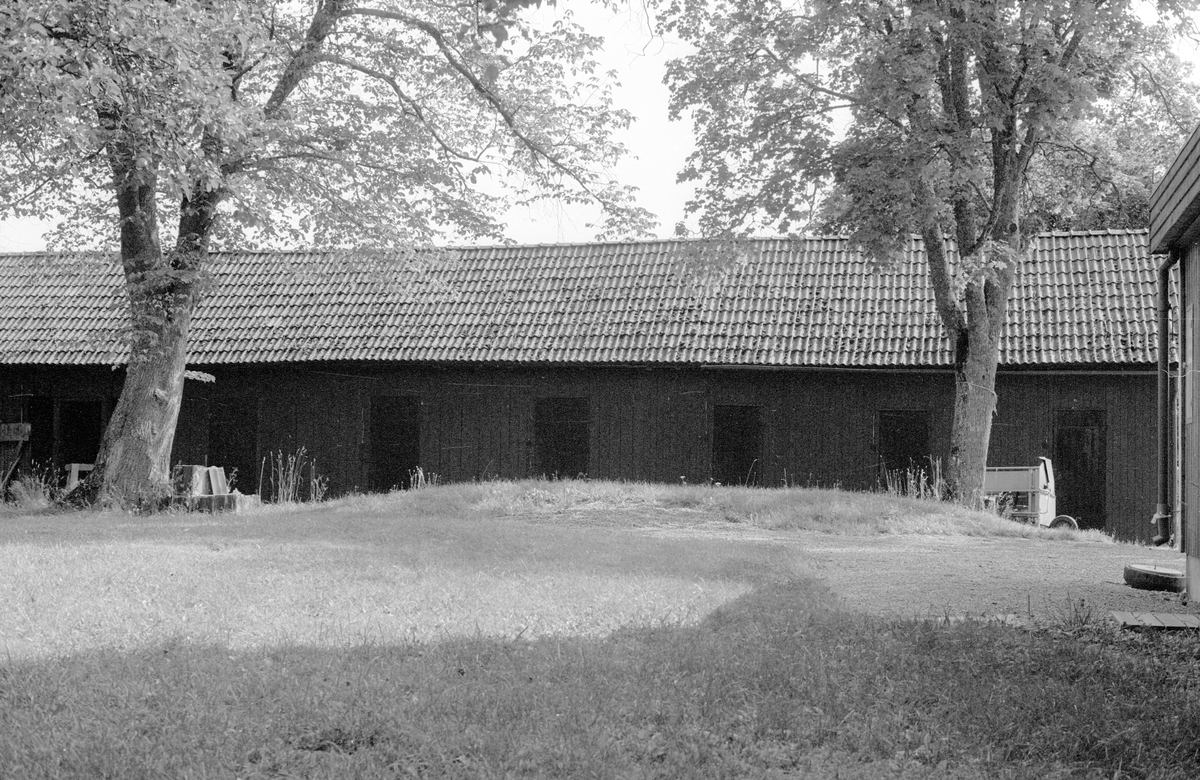 Uthus, Blacksta 3:8, Blacksta, Jumkils socken, Uppland 1983