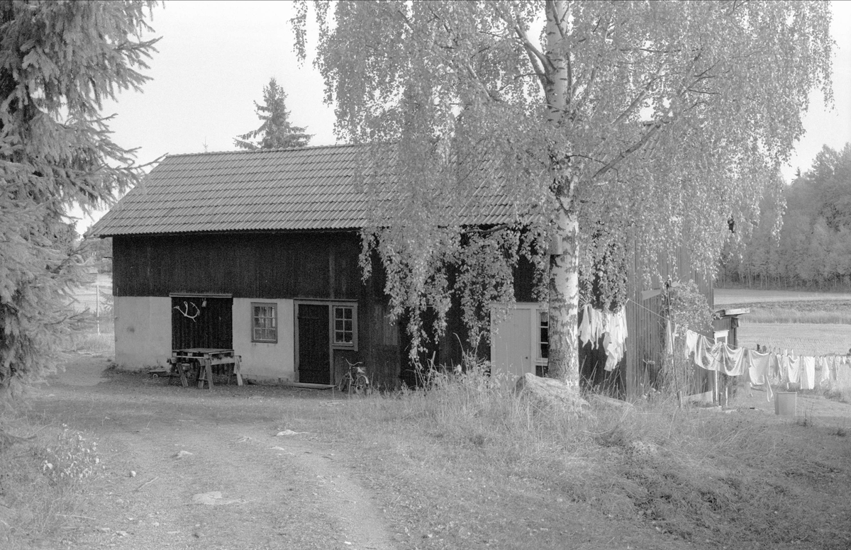Ladugård och uthus, Solhem, Oxsätra, Bälinge socken, Uppland 1983