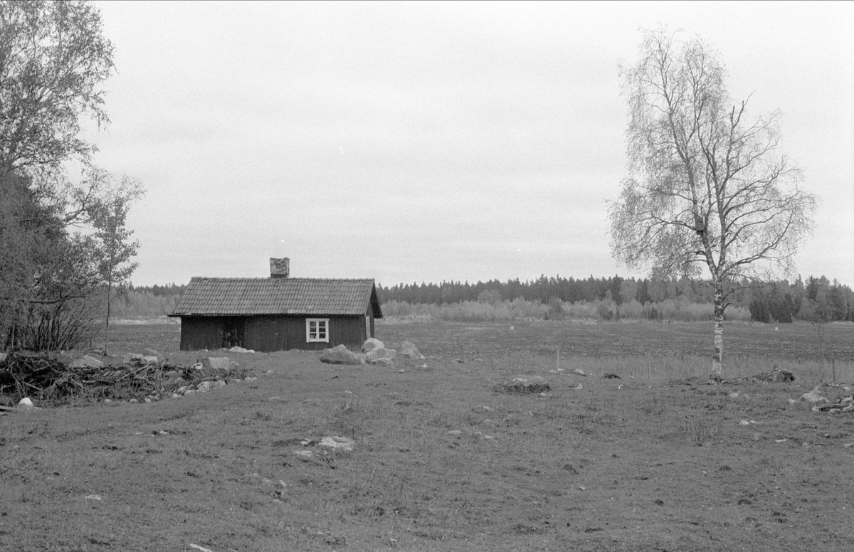 Vy över Ängsholmen, Bälinge socken, Uppland 1983