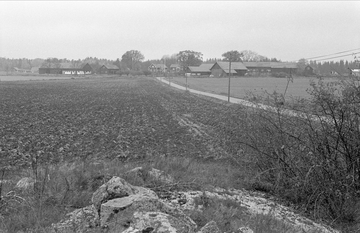 Vy över Hässle från sydöst, Dalby socken, Uppland 1984