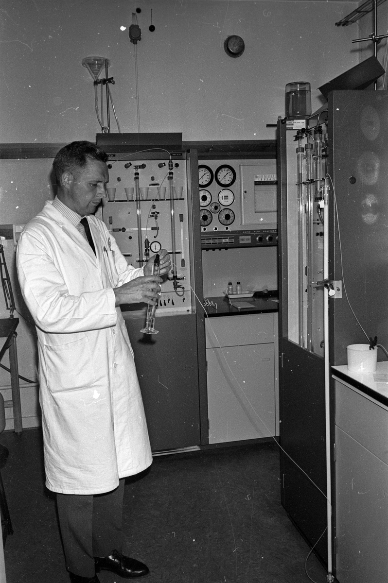 Laborator Ragnar Thorzelius i arbete, Biokemiska institutionen, Uppsala universitet 1965