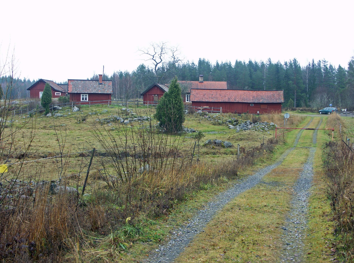 Risön är en gård som ligger vid det stora myrområdet Florarna. Det var tidigare en by med två gårdar, men den norra av gårdarna har avvecklats och bebyggelsen rivits. Gården fungerar idag som lägergård.