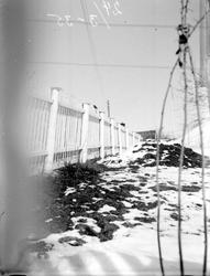 Stær på hagegjerdet.