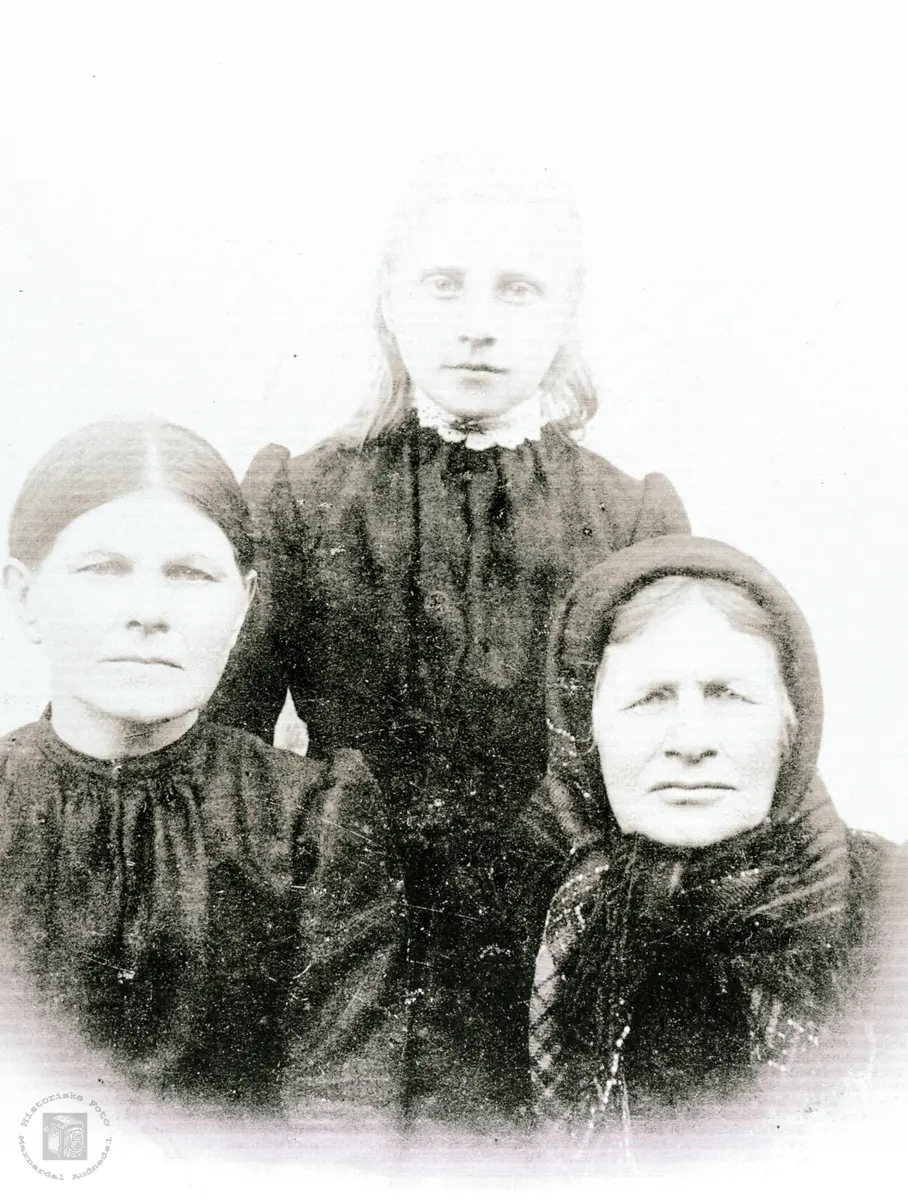 Tre generasjoner Høyland. Grindheim Audnedal.