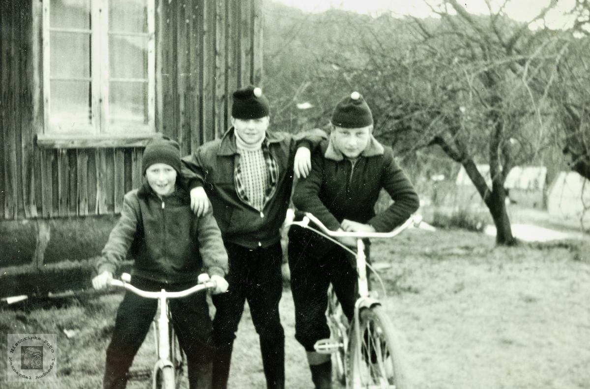Tre kompiser på sykkel. Grindheim.