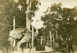 Taronga Park, 1924.