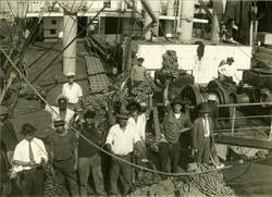 Bananene lastes i Brasil.