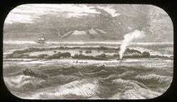 Dias, tegning. Koraløya Witsunday (Australia)