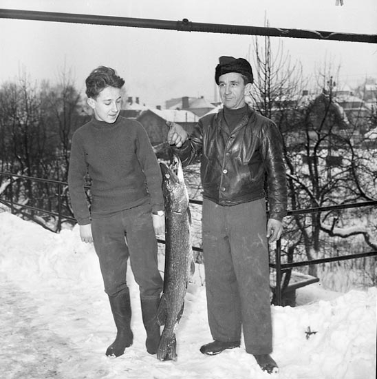 Algot Svanberg, Uddevalla, visar upp en stor gädda i januari 1955