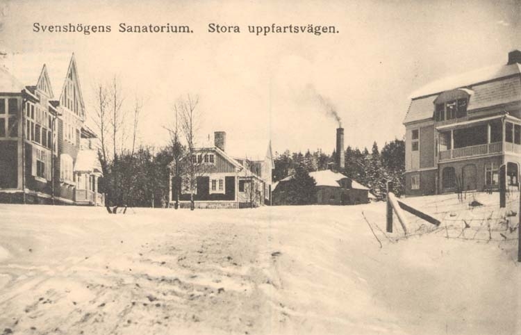 "Svenshögen. Sanatorium. Stora uppfartsvägen" tryckt text på kortet.
