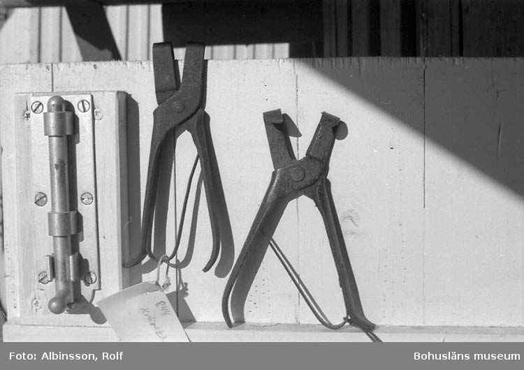 Enligt fotografens noteringar: "Kvärktång", verktyg till att öppna strupen på sillen med och få ur viss del av inälvorna så att saltet kommer till."
Fototid: 1996-03-06.
