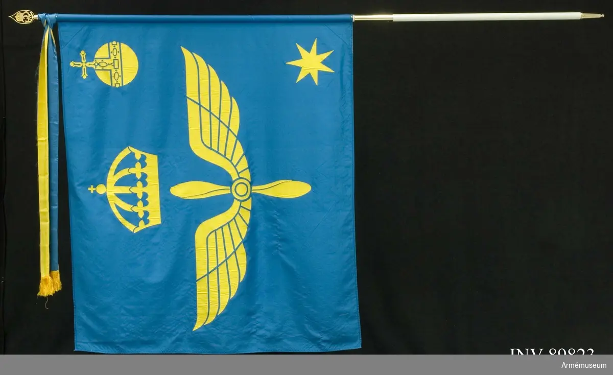 På blå duk i mitten flygvapnets vapenbild; under en kunglig krona en vingad tvåbladig propeller, allt i gult. I övre inre hörnet landskapet Upplands vapenbild; ett gult riksäpple och i nedre inre hörnet en sjuuddig gul stjärna (traditionsarv från sju nedlagda flottiljer: Västmanlands flygflottilj F1, Roslagens flygflottilj F2, Östgöta flygflottilj F3, Svea flygflottilj F8, Södermanlands flygflottilj F11, Bråvalla flygflottilj F 13 och Södertörns flygflottilj F18). Fanan är ritad av Ingrid Lamby och tillverkad i applikationsteknik och maskinbroderi vid Engelbrektssons Flaggfabrik.