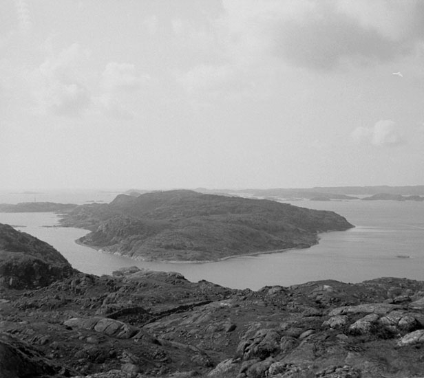 (Stereo karta XVIII) Utsikt från toppen, över Älgön. 14 Augusti 1927.