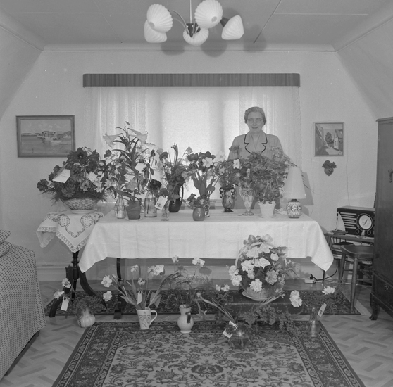 Text till bilden: "Fru Anna Larsson, Pallasgatan 8. 50 år"







