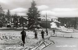 Skiforeningens hytte, Løvlia, Løvlisetra.