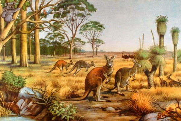 oas dating västra Australien