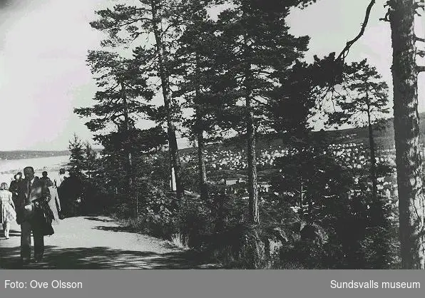 Text: "Utsikt från Krönvägen å Norra Stadsberget över staden, Östermalm, fjärden med Alnö i bakgrunden".