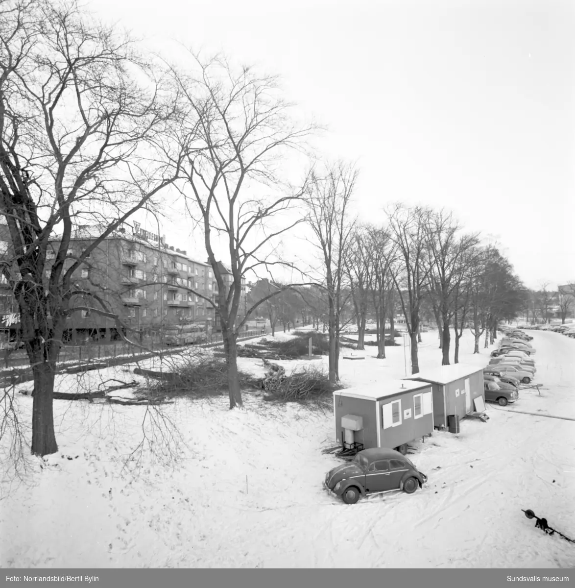 En serie bilder tagna i samband med fällning av popplarna i Järnvägsparken invid Strandgatan, området som sedan gav plats för E4 genom Sundsvall. Bakom syns gamla järnvägsstationen, numera (2016) Casino Cosmopol. På en av bilderna syns även järnvägstunneln som då gick snett under Köpmangatan.