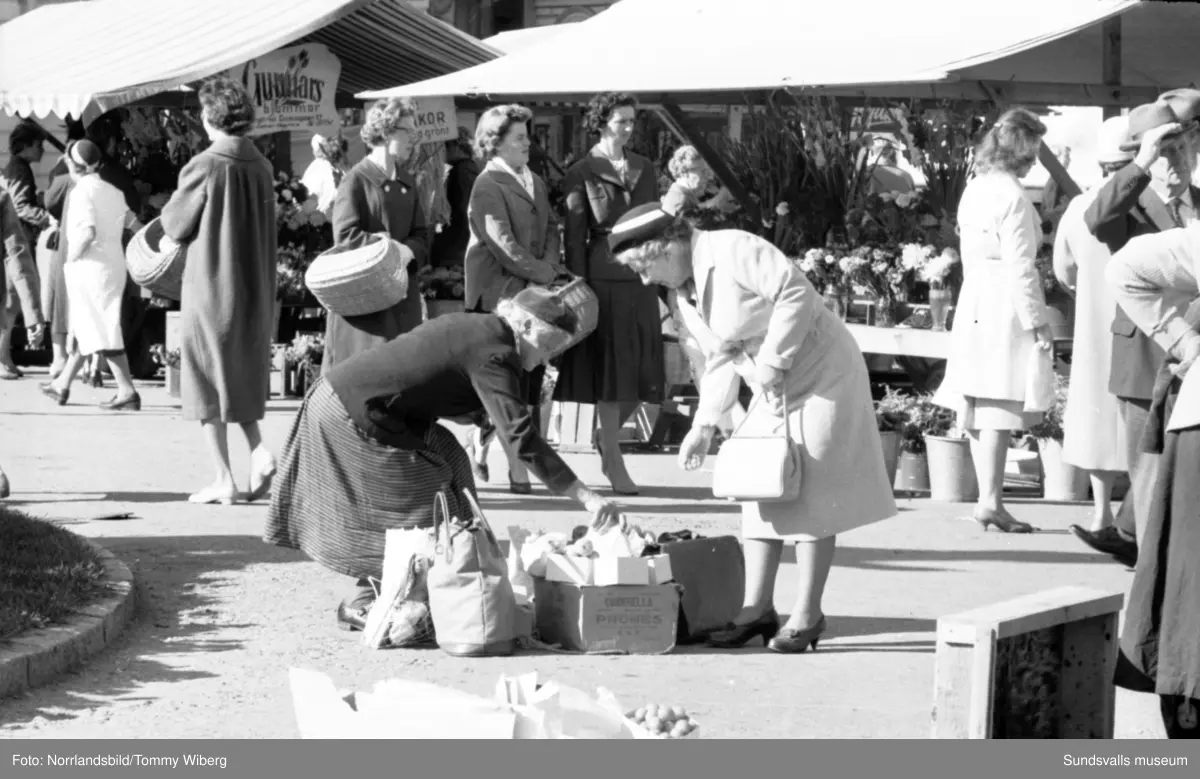 Torgkommersen är i full gång och mängder av frukt, bär, grönsaker och blommor finns till försäljning. Bilderna tagna till ett reportage i Dagbladet.