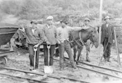 Fem menn i arbeid med bygging av jernbane, med hest.