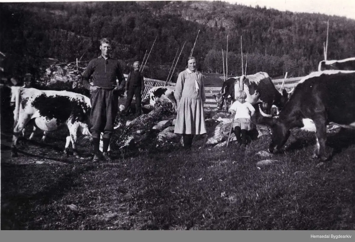 Frå venstre: Odd, Ola, Kristi og Ingrid Ålsteit fotograferte heime på garden, Flato,55.7, i Hemsedal i 1937