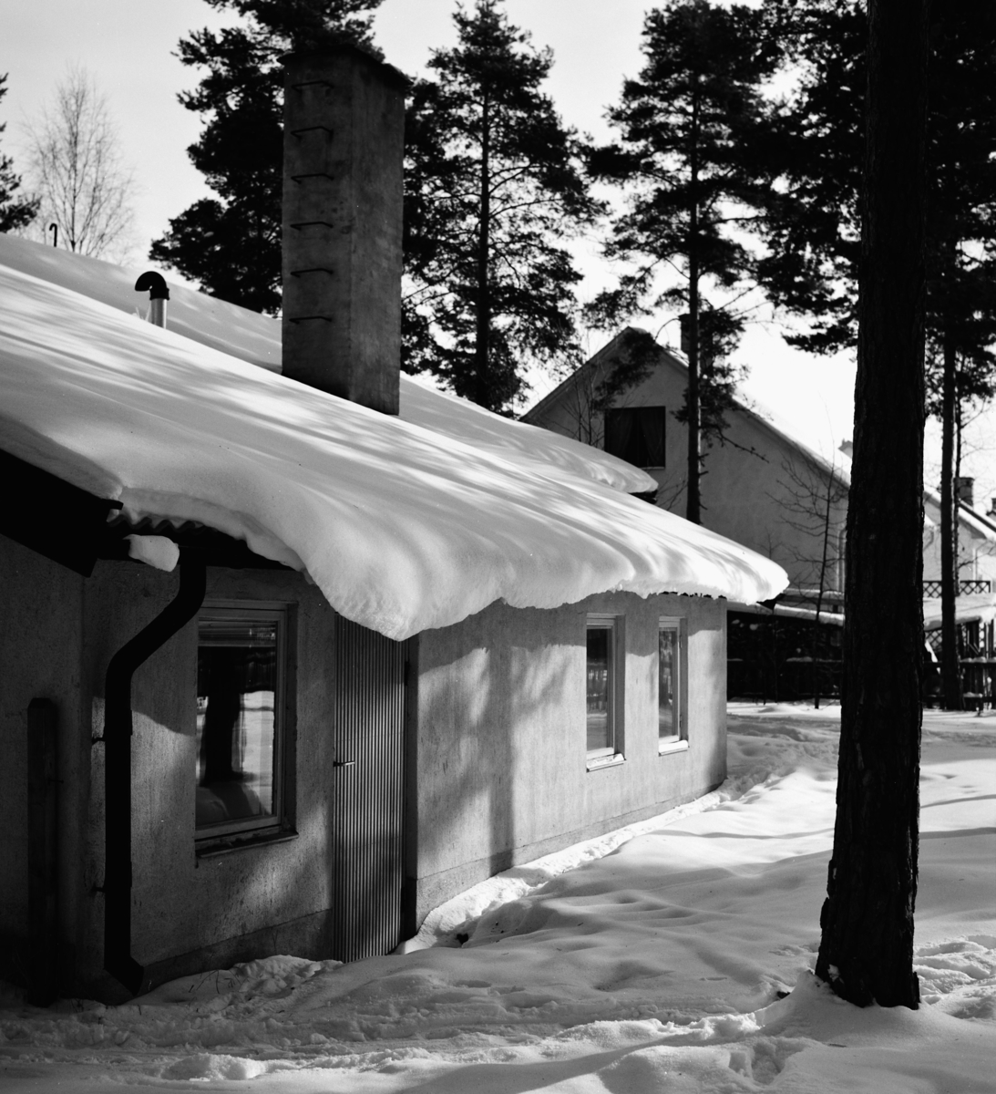 Standardhus, Hultsfred
Exteriör, enplanshus beskuggat av höga träd under snötäcke. Experimenthus