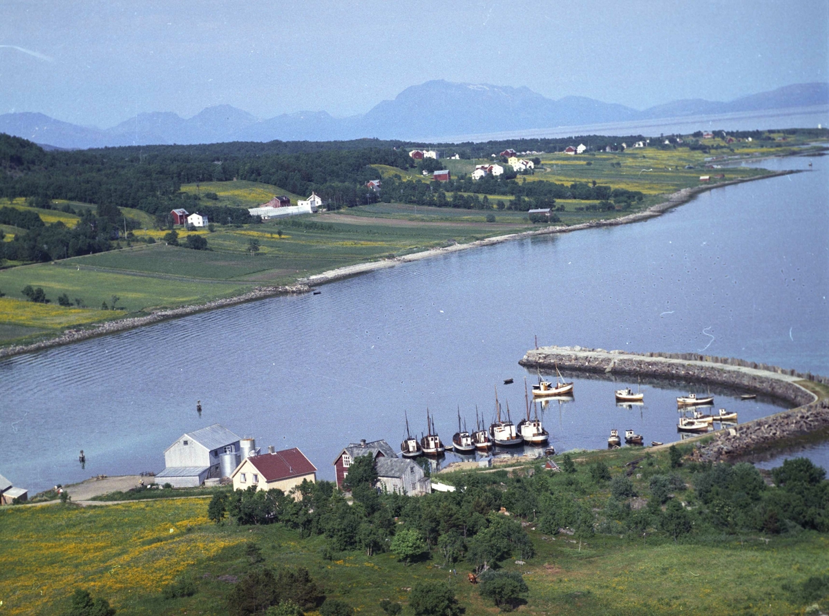 Flyfoto av bebyggelse og båter ved sjøen på Grytøy.
