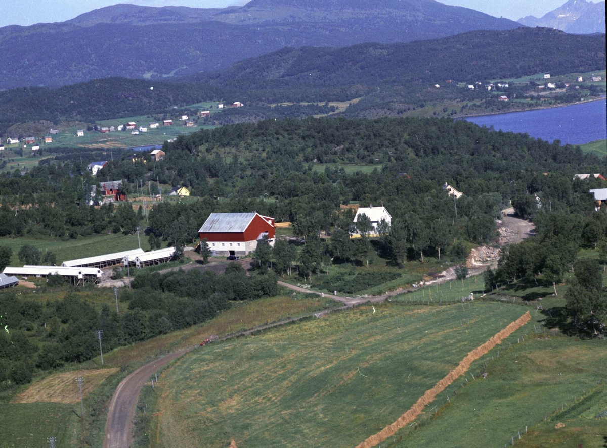 Flyfoto av bebyggelse ved havet i Brokvik.
