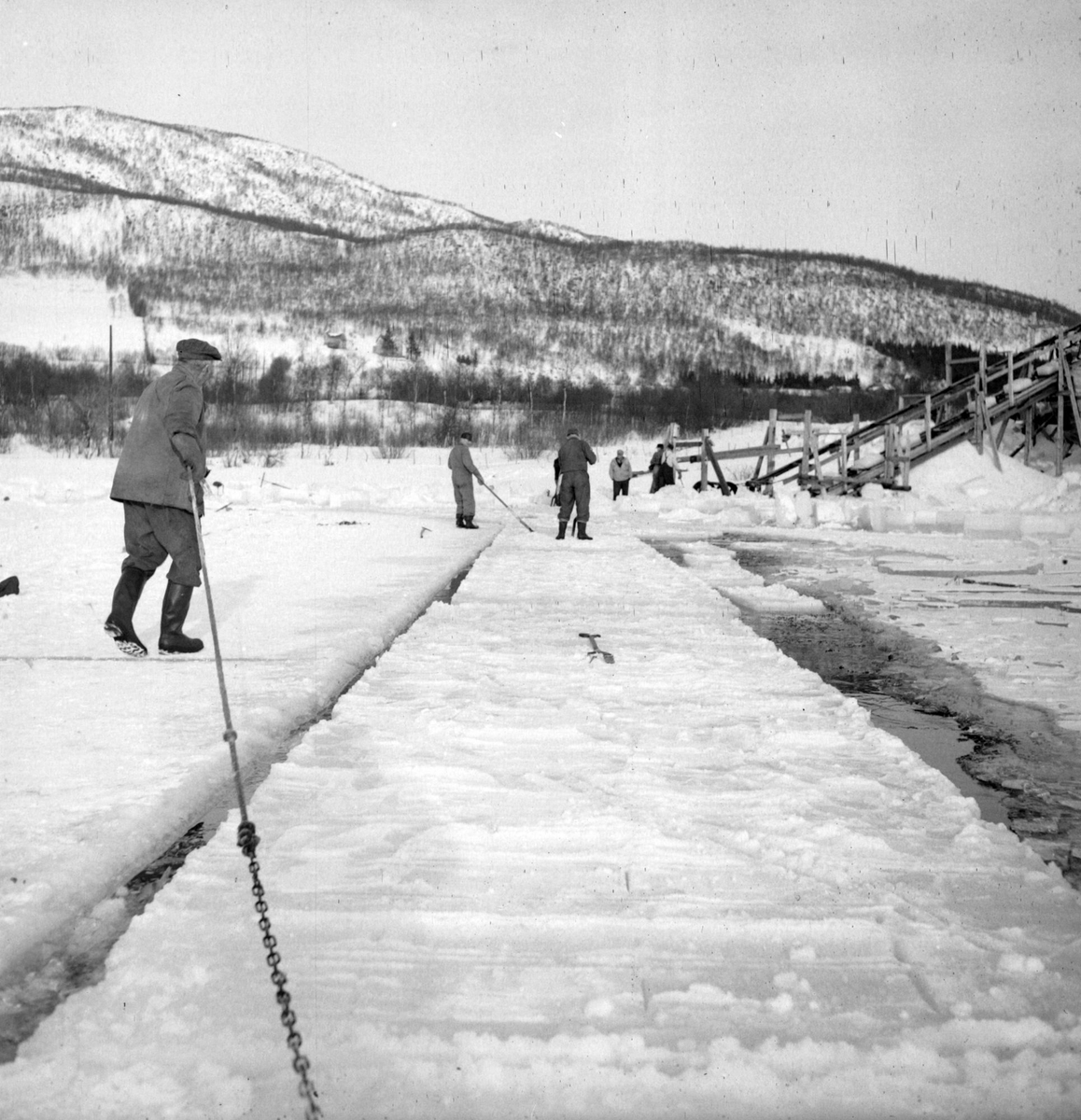 Isskjæring på Møkkelandsvannet, 1954. Isen skulle brukes hos Bertheus Nilsen i byen.