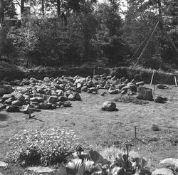 Utgraving (?) i Kullås, Sarpsborg, ca. 1950.