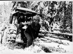 Skogsdrift, Stammelunning.