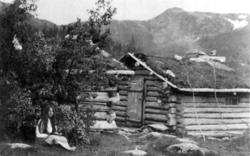 Tømrede hus på Nordsætra på Flatanger