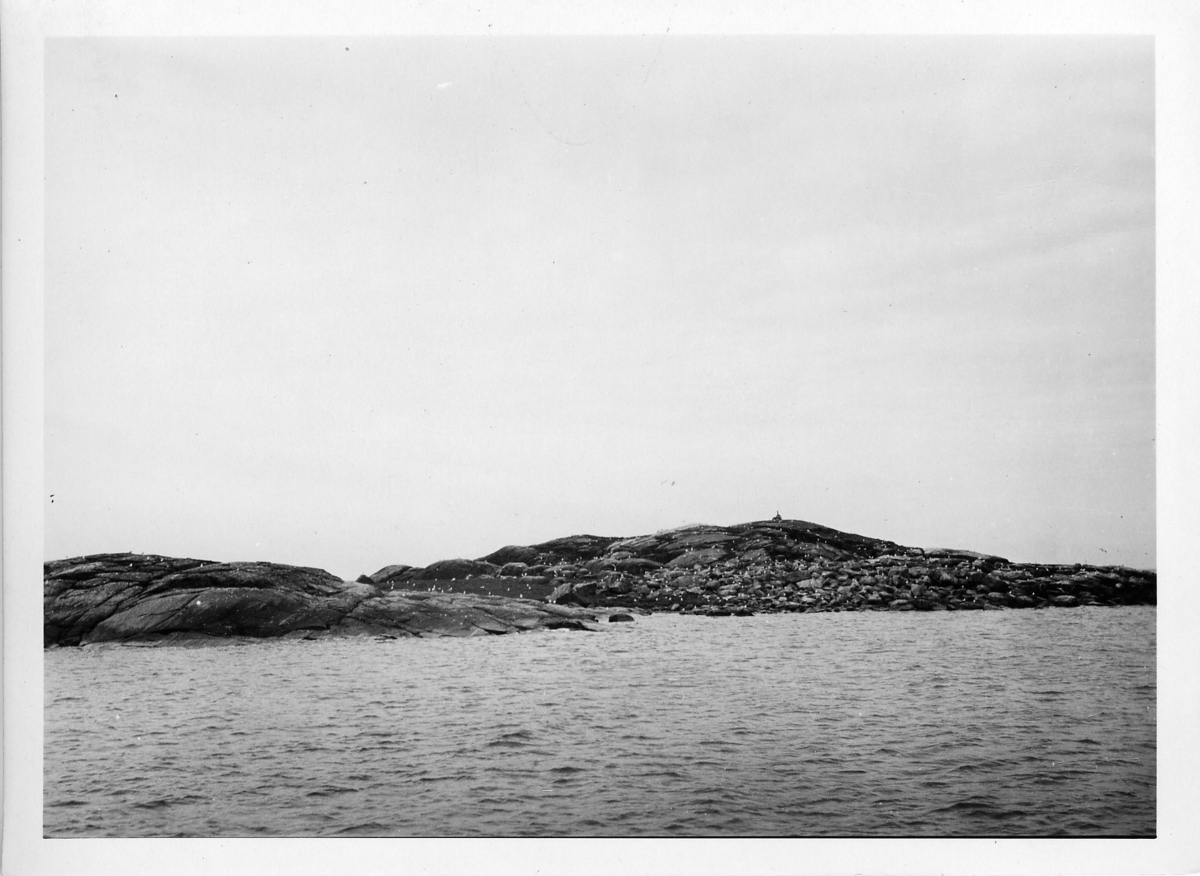 'Akka-expeditionen sommaren 1932: ::  :: Vy med fåglar på holmar i havet. ::  :: Ingår i serie med fotonr. 2400-2453.'
