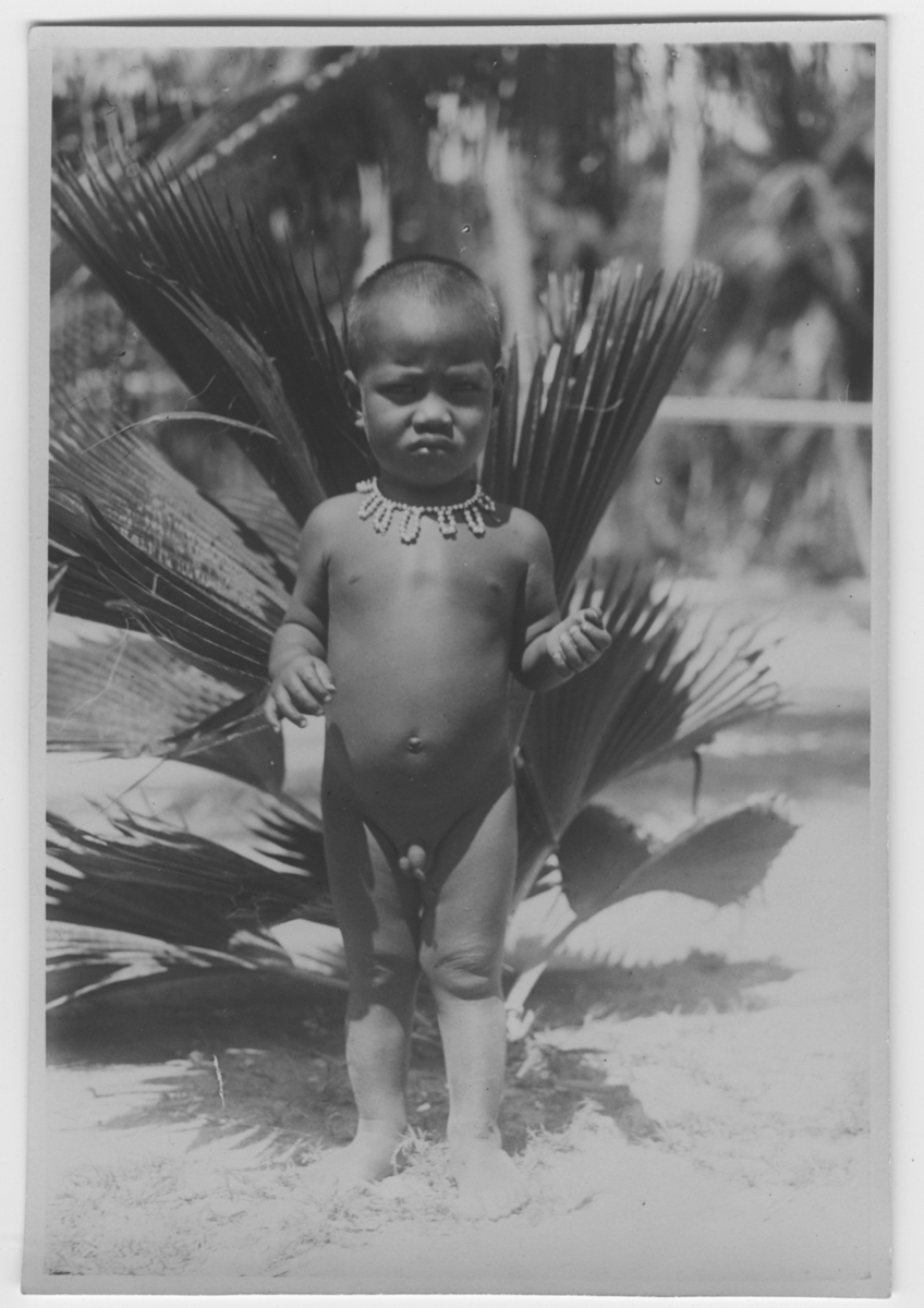 'Bock och Hessle Gilbertöarnaexpeditionen: ::  :: 1 litet barn, 1 liten pojke iklädd halsband, framför lågväxande palm. ::  :: Ingår i serie med fotonr. 6977:1-15.'
