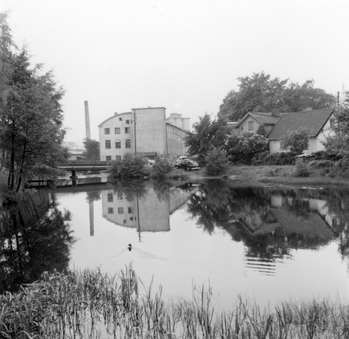 Mölndalsån, uppströms Forsebron, den 1/6-1961.